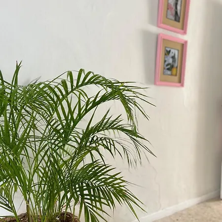 Arco Macarena Apartmán Sevilla